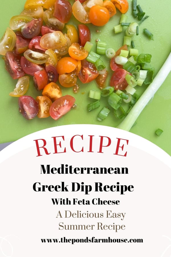 Healthy Mediterranean Greek Dip With Feta Appetizer Recipe - Refreshing Side Dish that's heart healthy.