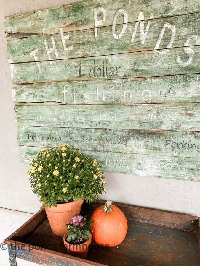 Mum and pumpkins for outdoor tables