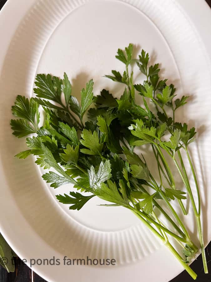 Fresh parsley on a white plate for Dry Herbs How To.