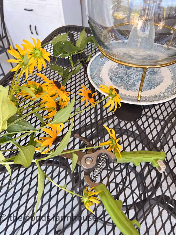 Black Eyed susan's for Free Flower Centerpiece.