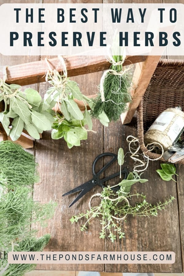 How to make herbs last longer: It only takes a little preparation