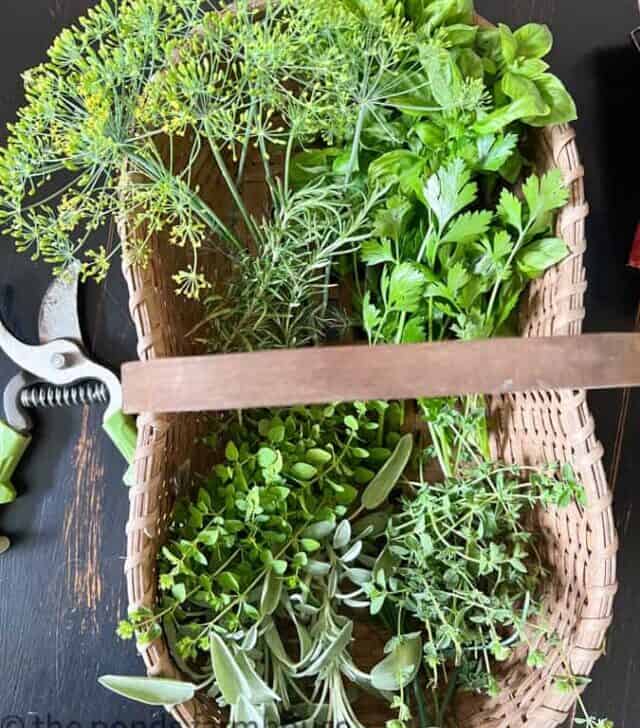 cropped-herbs-in-basket.jpg