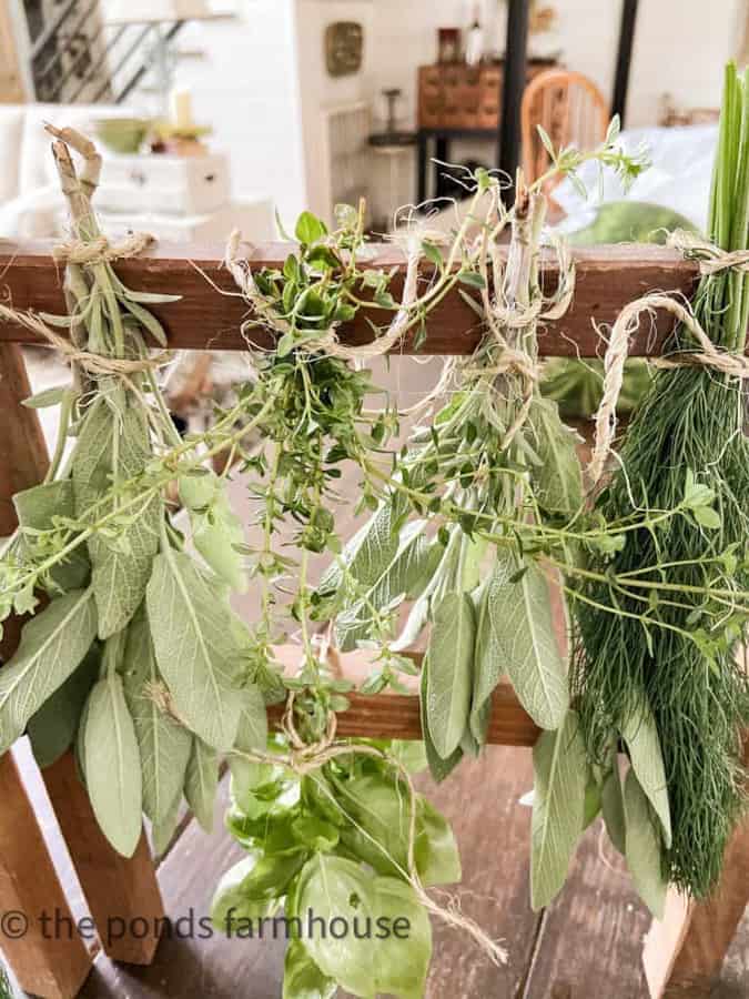 Herbs on Wooden drying rack 