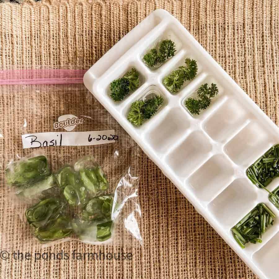 Freeze Herb in ice cube tray to preserve them for year round use.  