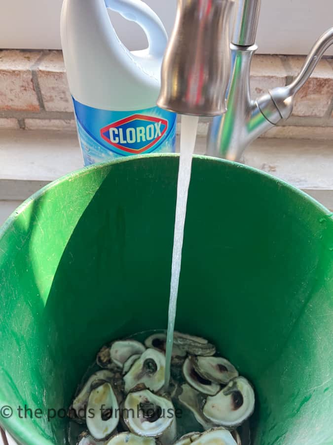 Wash Oyster Shells in clorox to remove any odor.
