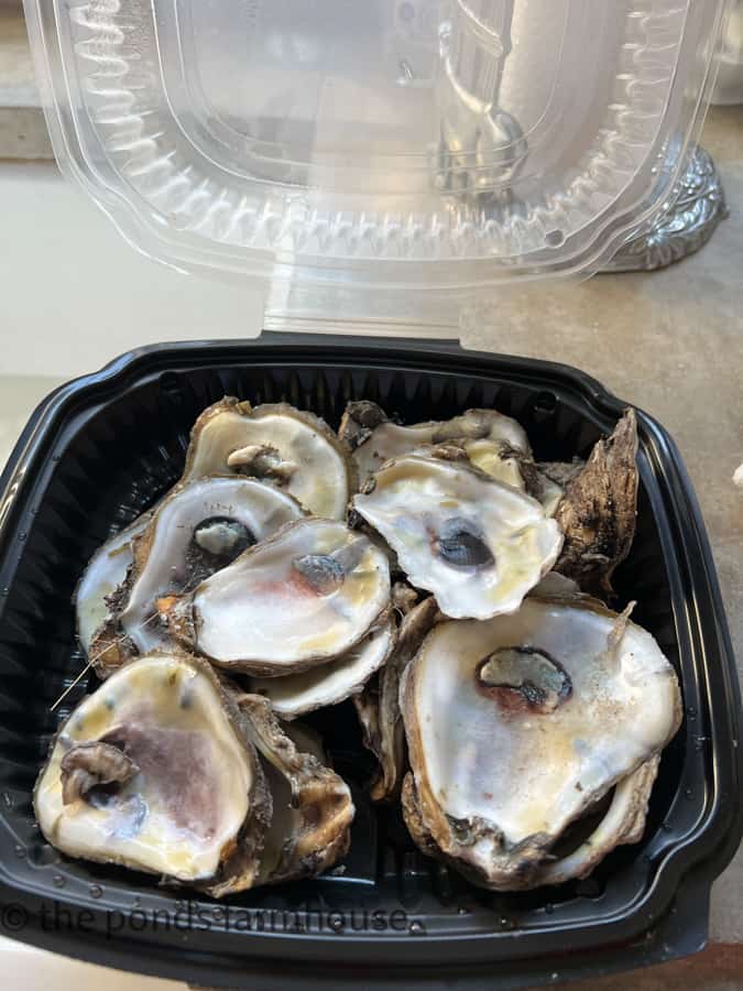 Oyster Shells to Make a Coastal Craft