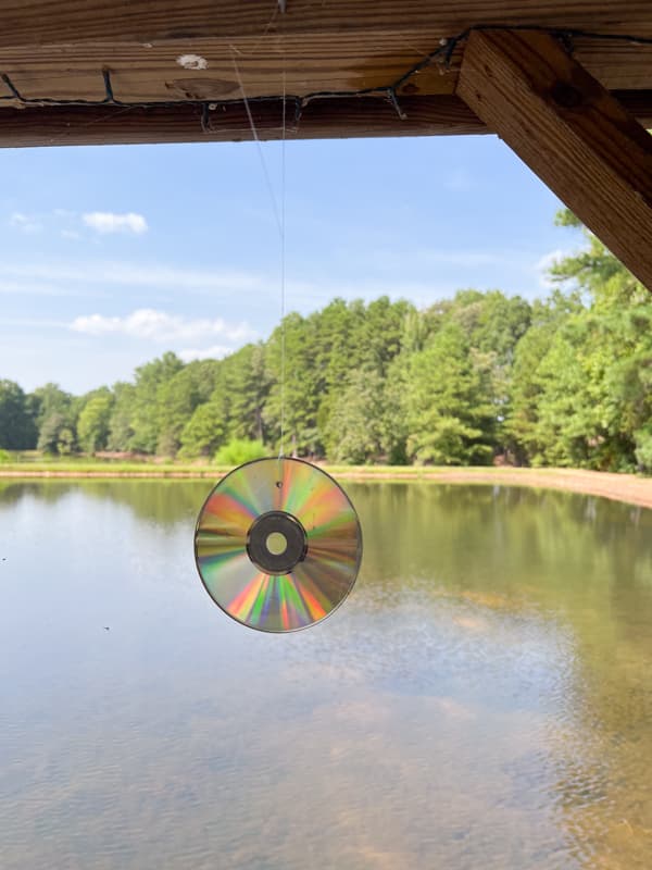 Bird Repellent Device to scare birds from piers, porches and other outdoor spaces.