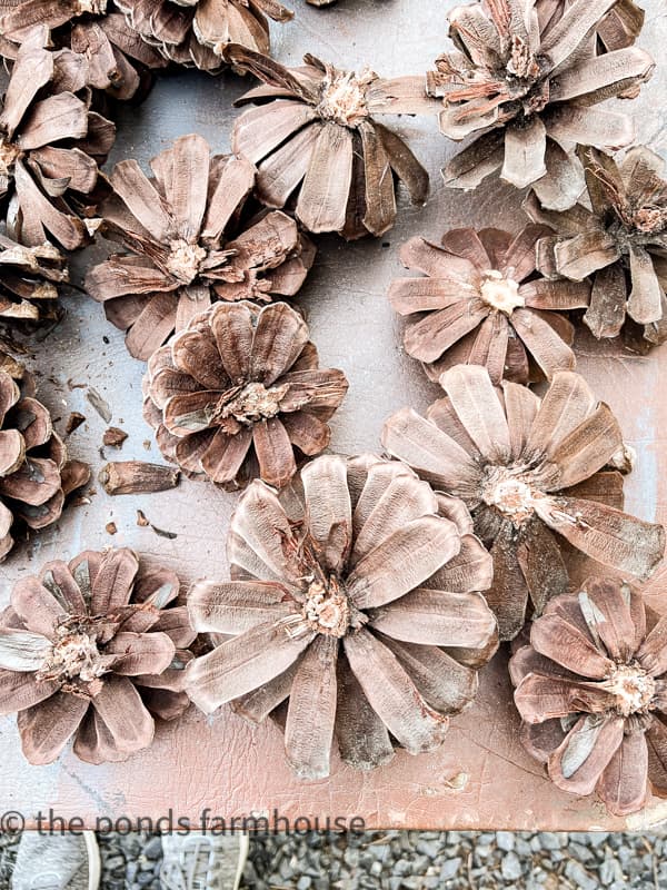 Large Pinecones cut to resemble sunflowers