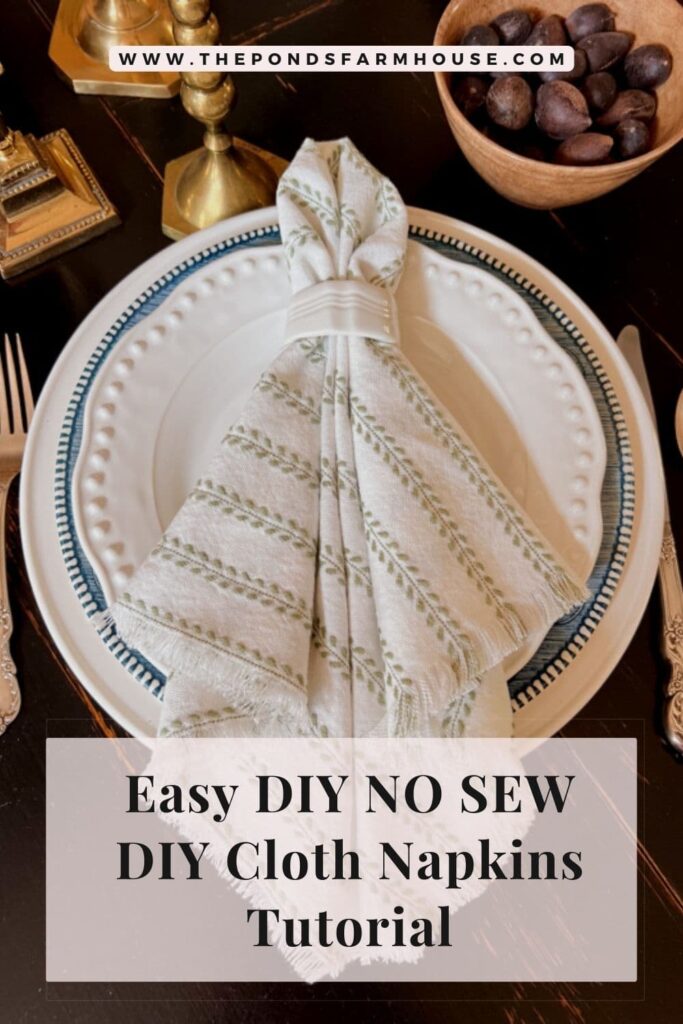 Fringed Cloth Napkins and Napkin Rings Kit - Makes 4