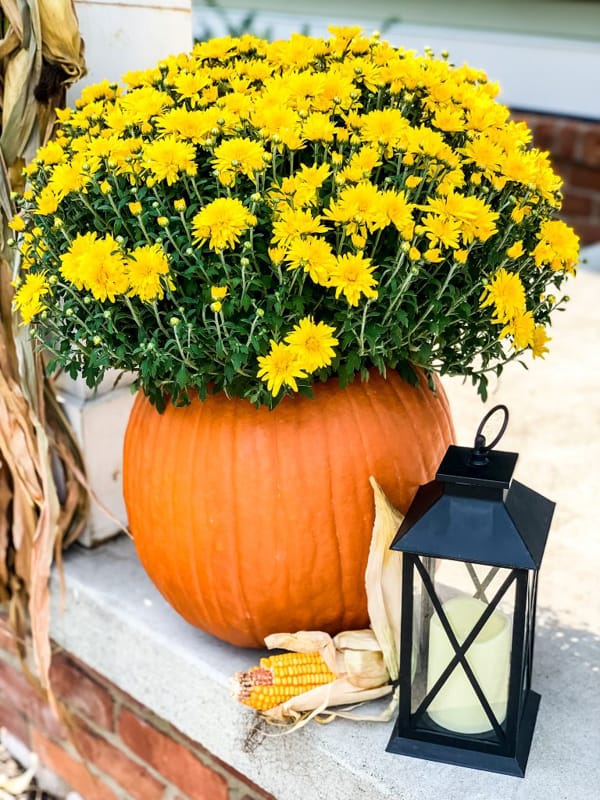 Autumn Decor with mum pumpkin planter - Easy Fall Craft Idea.