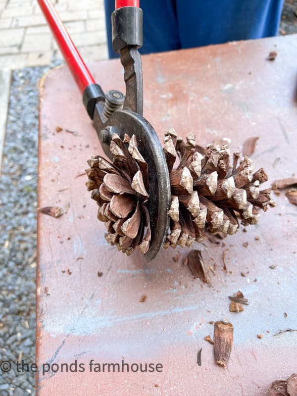 Cut pinecone core to craft a DIY wreath that looks like sunflowers