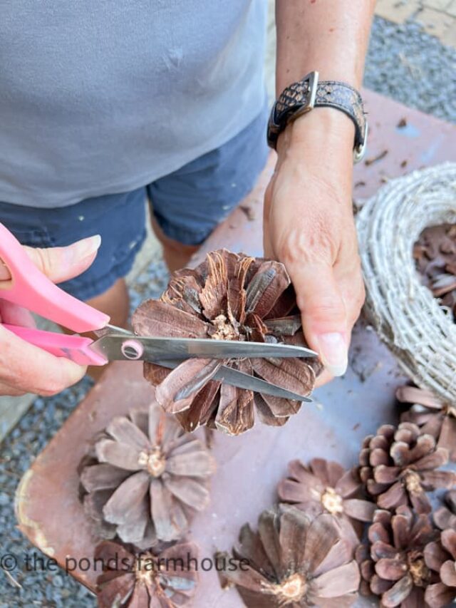 Trim centers of pinecones for pinecone flower art