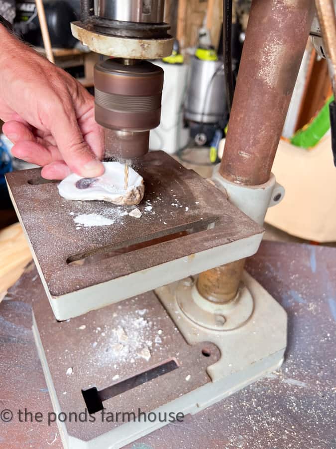 Drill a hole in the oyster shell with a masonry drill bit using a drill press.