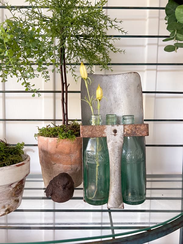 Old Coke Bottles inside a vintage grain scoop for fall decor.