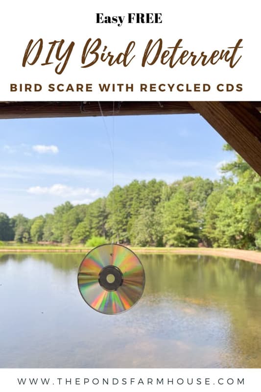 Easy FREE Bird Deterrent Devices With Recycled Music CDs.  