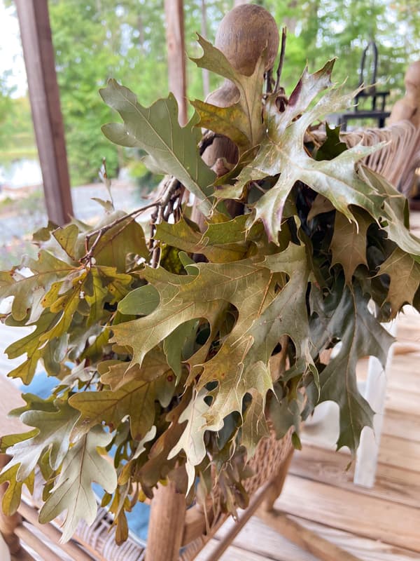 How to Dry Oak Leaves for Fall Projects