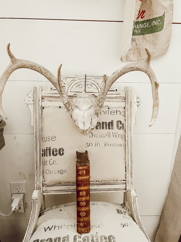 Thrifted Finds - Deer Antler Skeleton and vintage book on a deconstructed chair with drop cloth faux grain sack cover.