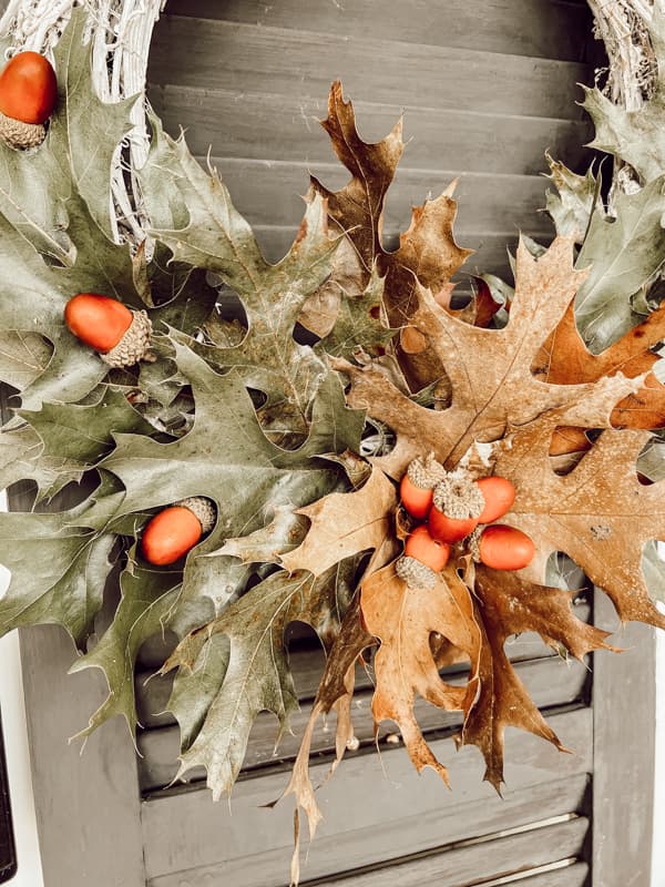 green and dried oak leaves with acorns for a fall wreath