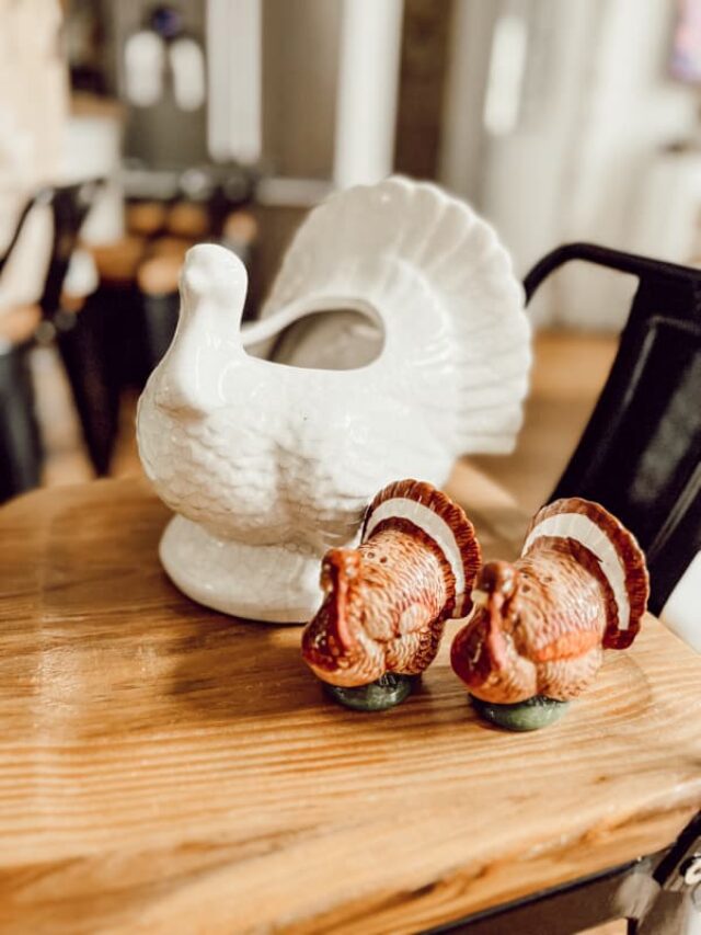 Rustic thrifted Turkey salt and pepper shakers with white Turkey Stoneware.