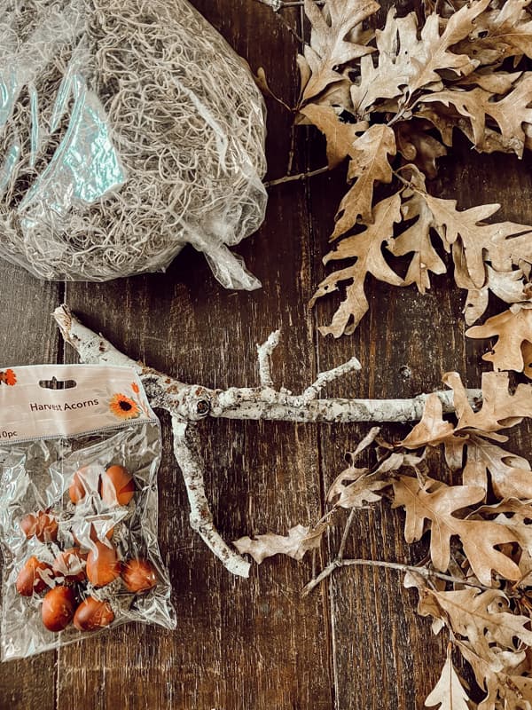 Twigs and dried leaves foraged for a fall arrangement.