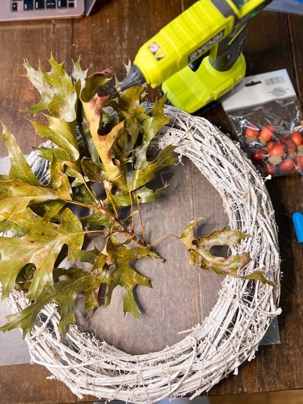 Budget-Friendly Supplies for wreath for fall. white grapevine wreath, foraged leaves and acorns.  Hot glue gun