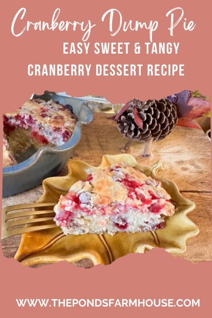 Cranberry Dump Pie Easy Sweet and Tangy Cranberry Dessert Recipe 