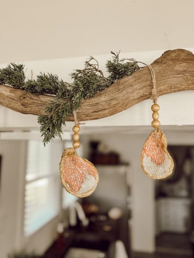 cropped-Decoupage-Oyster-Shell-Christmas-Ornaments-close-up-of-shells-on-driftwood.jpg