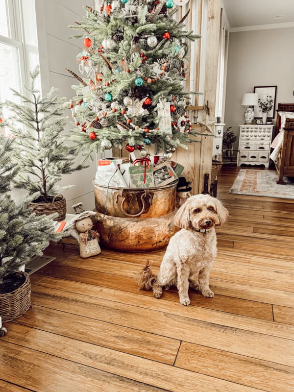 Mini-golden doodle Rudy, in front of Vintage Copper Cauldron holding a Christmas Tree with Vintage Christms Glass Ornaments.