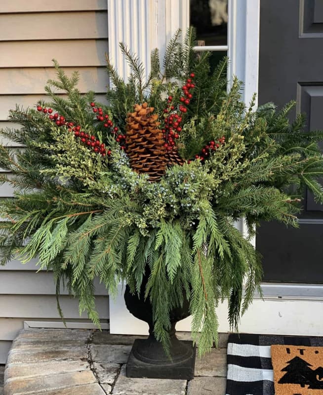 Use Fresh Evergreen plants in porch containers to decorate for Christmas.