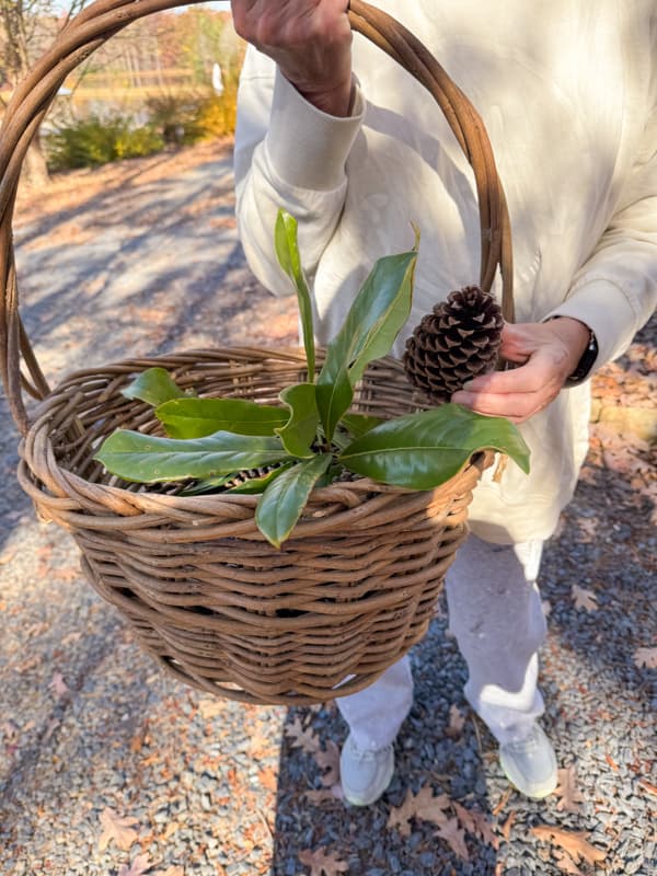 Foraged natural elements of pinecones and magnolia leaves