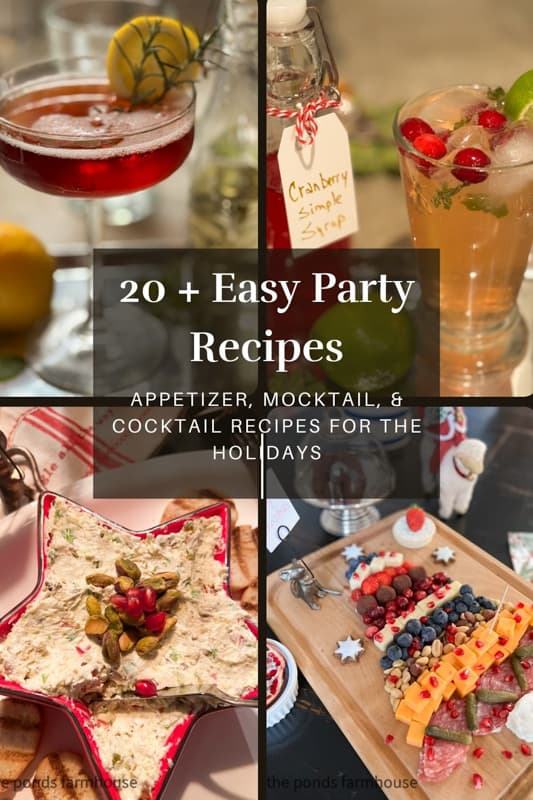 20+ Easy Party Recipes