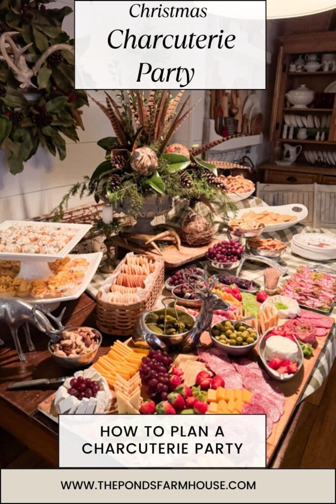 Charcuterie Christmas Party Ideas. 