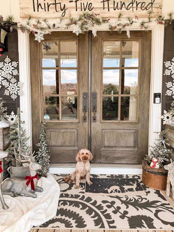 Country front porch Christmas decorating ideas. Mini Golden Doodle.