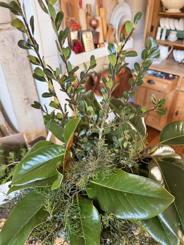 Use Boxwood stems to fill in the top of the Rustic-Chic Christmas greenery centerpiece.