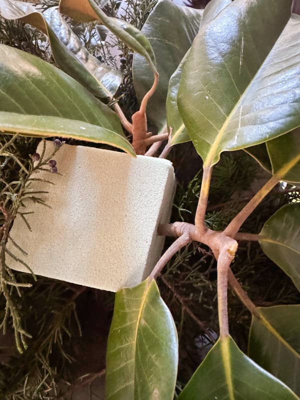 Add magnolia leaf stems to the styrofoam to make the DIY Christmas Centerpiece Idea. 