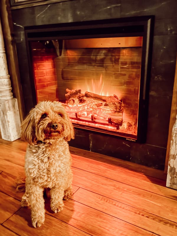 Rudy by the cozy faux fireplace for hygge winter mantel decorating.  