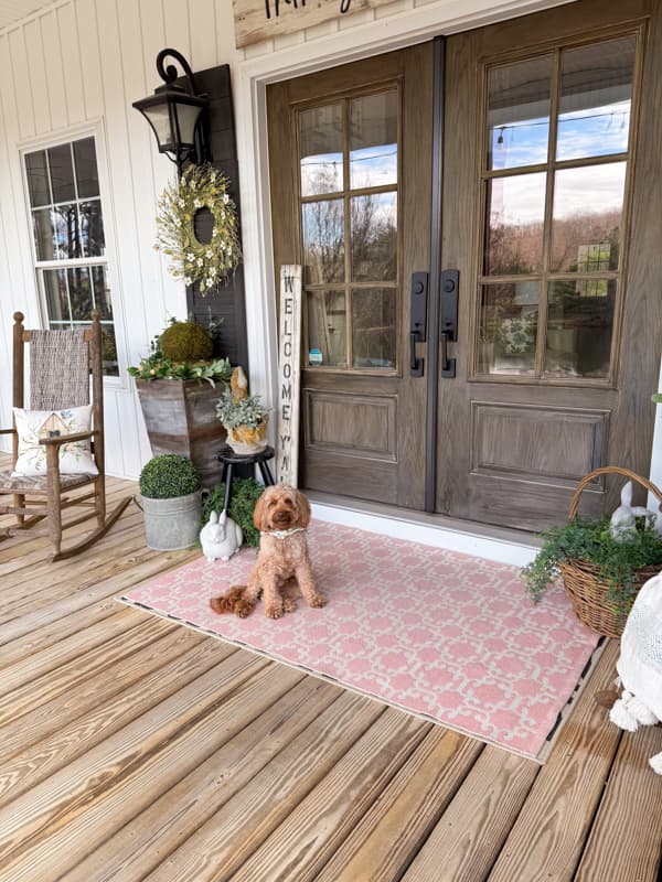 Rudy on Farmhouse Front Porch for Spring