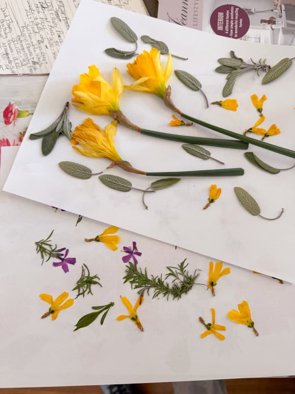 How To Press flowers to make botanical art for craft projects.