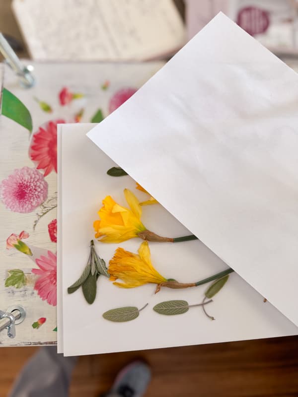How To Press Flowers with a DIY Flower Press for botanicals, herbs, and leaves. 