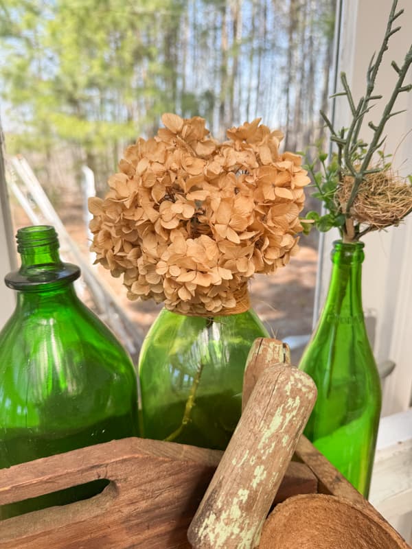 A dried hydrangea bloom in a vintage green bottle.  
