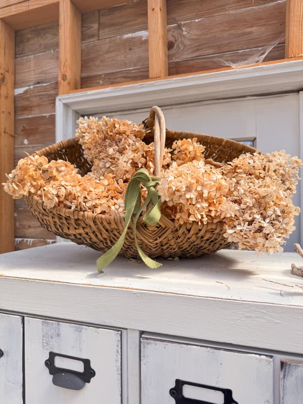 dried hydrangea basket