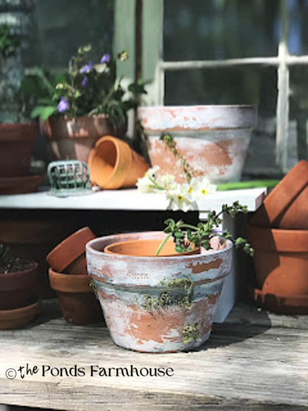 How to Age New Clay Pots