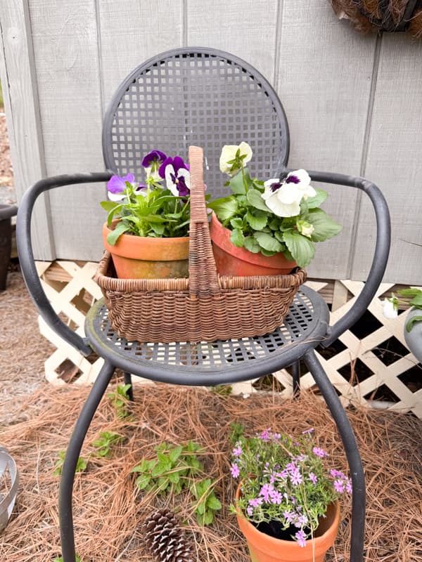 Vintage basket filled with terra cotta pots and pansies on a rustic metal chair.  