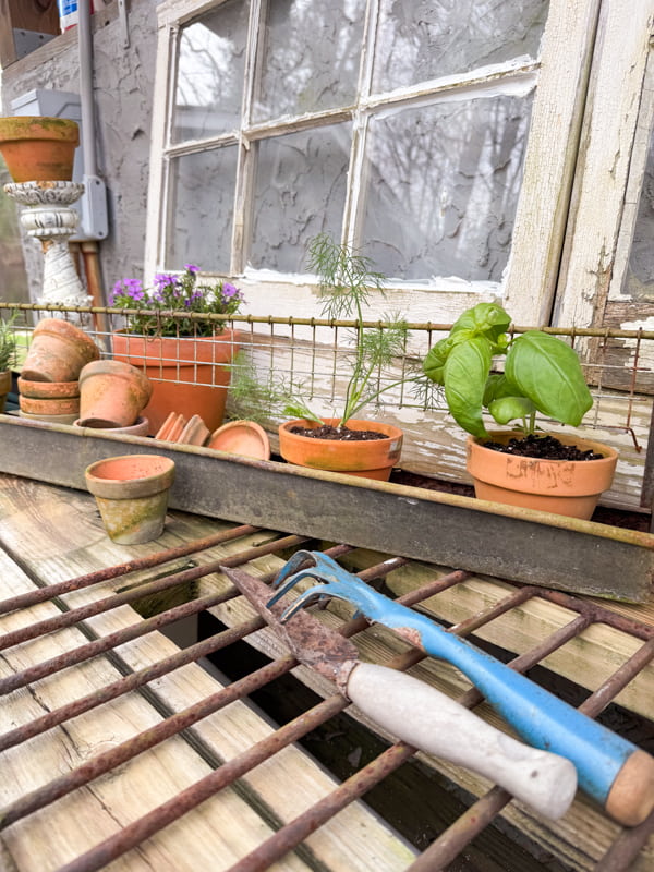 Herb Container Garden Ideas for Rustic Outdoor Decor with terracotta pots and vintage garden tools.  