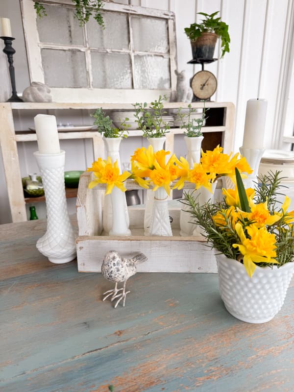 milk glass bud vases filled with fresh daffidols in old tool box for Table centerpiece ideas. 