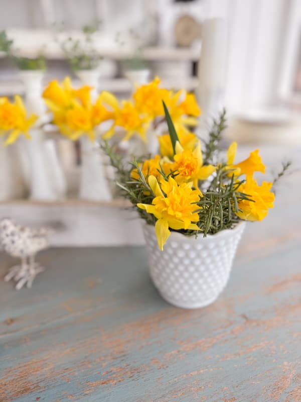 Fresh Yellow Daffodills in hobnail vase with rosemary herb stems.  
