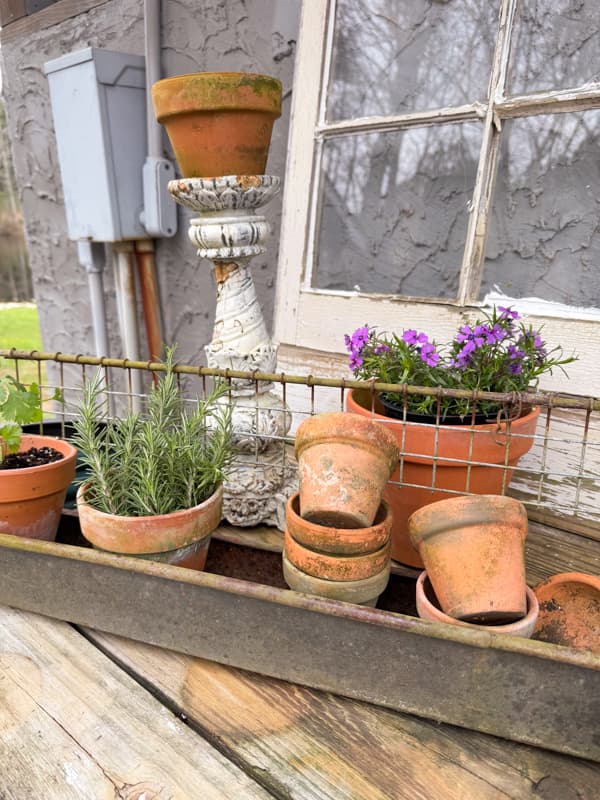Herbs in clay pots and in a rustic metal container on potting bench 