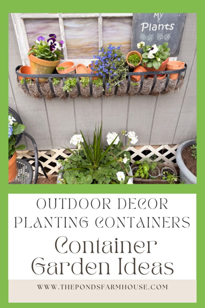 Decorating with Container Gardens for outdoor decor.  