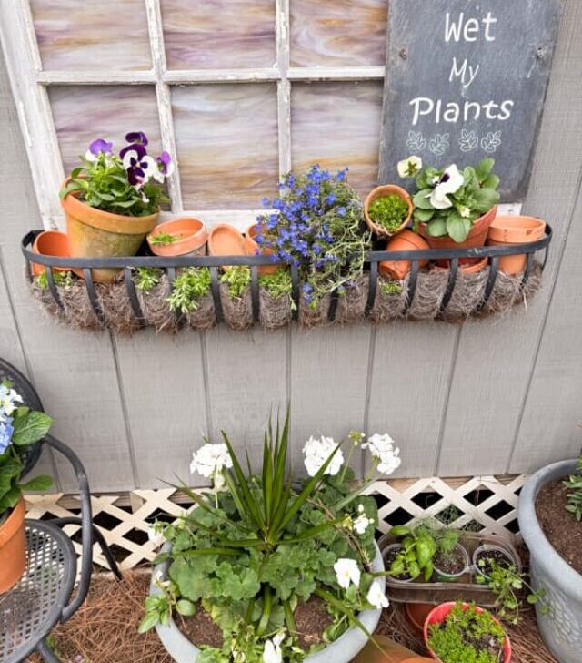 cropped-window-planter-for-container-planters.jpg