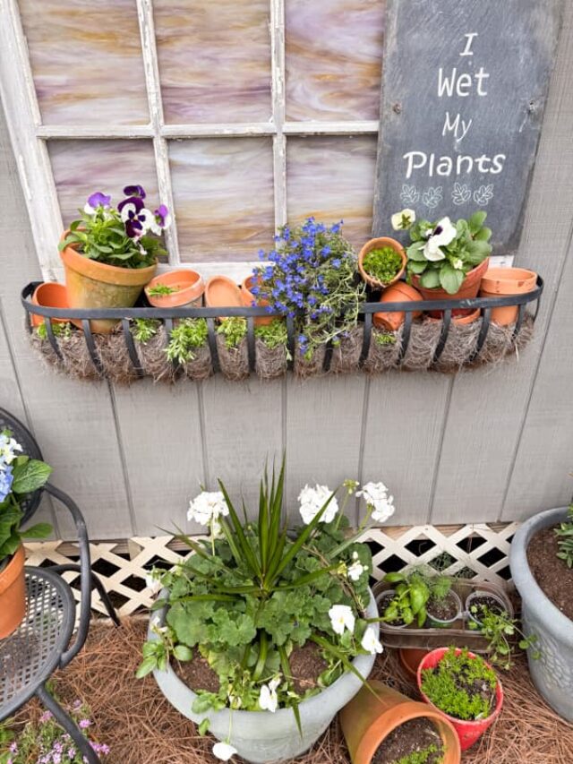 Container Garden with window box filled with terra cotta pot.  